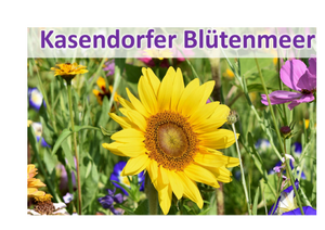 Logo Kasendorfer Blütenmeer