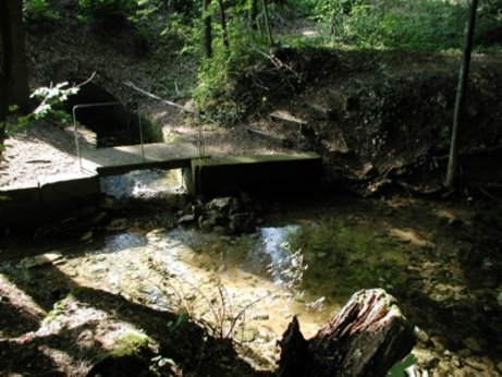 Die Friesenquelle