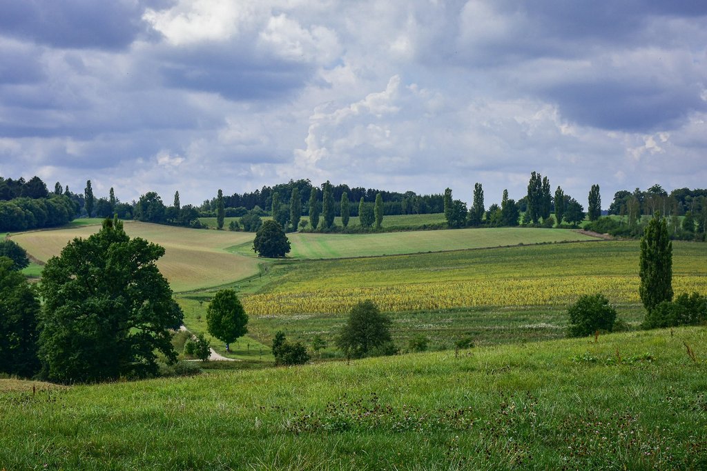 Landschaft 